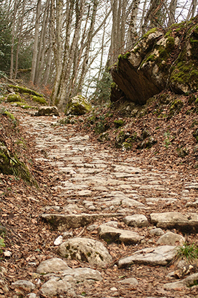 La Voie Sarde en autonme